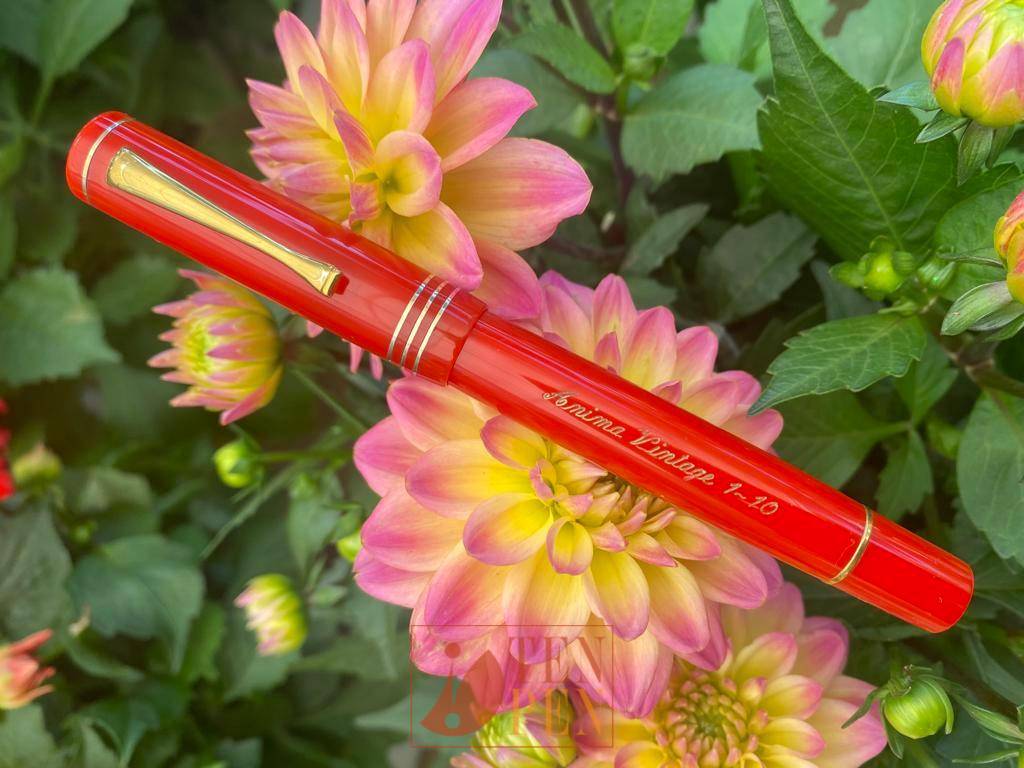 ANIMA VINTAGE LINE - TENPEN LIMITED EDITION | Tenpen - By